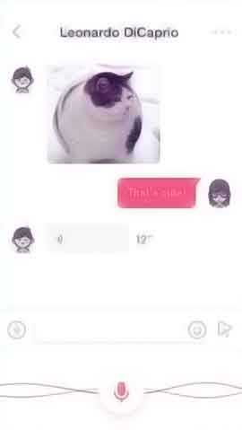 小黑ddos压力测试平台软件程序维护界面